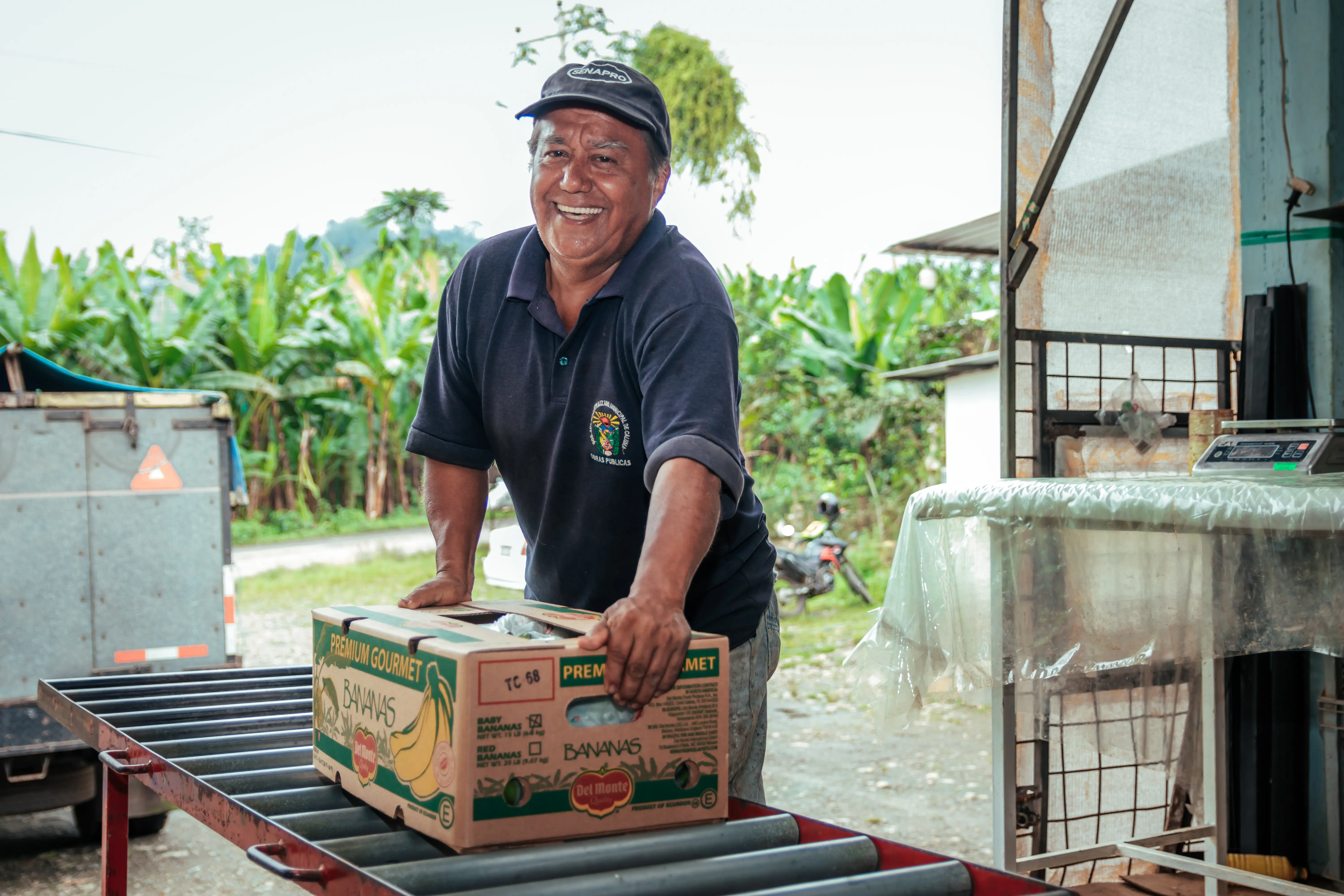 Centro de Acopio - Bananos organizados