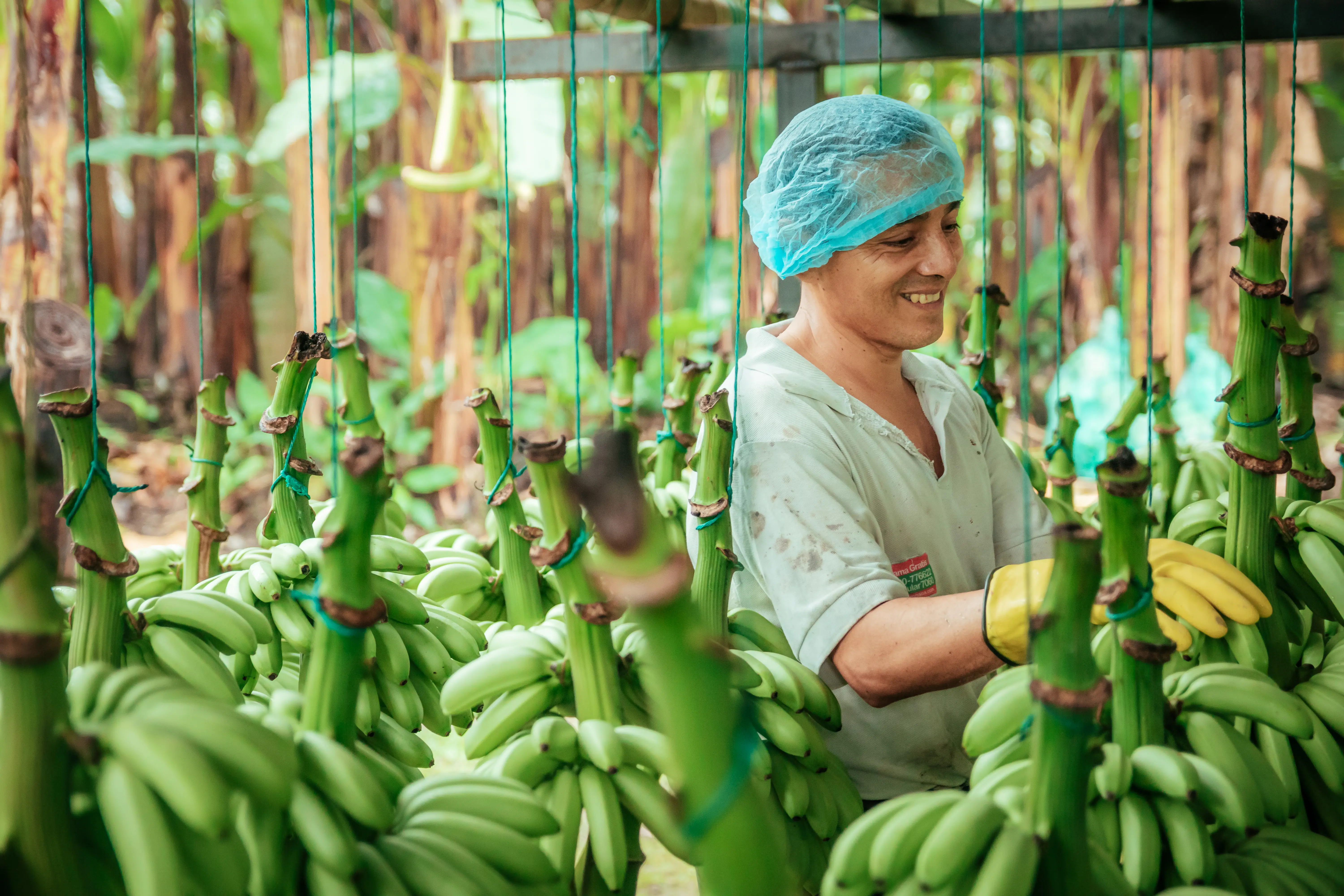 Centro de procesamiento