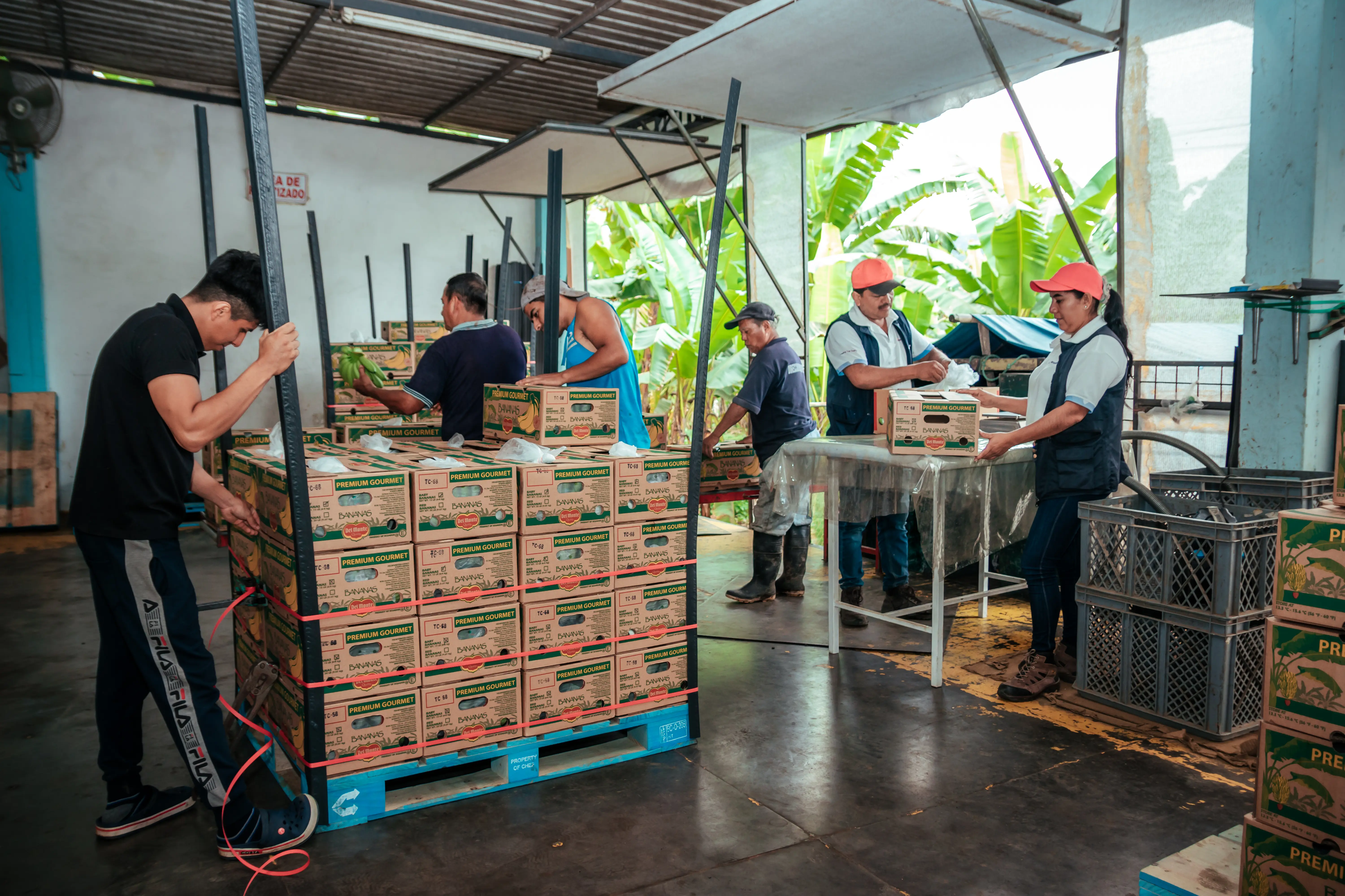 Cajas de empaque premium