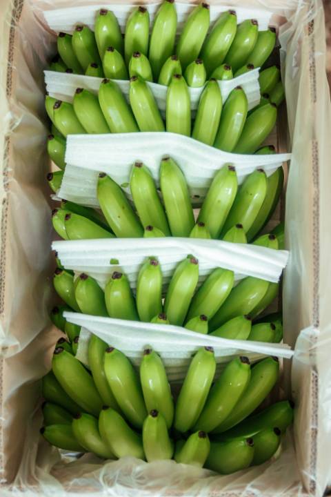 Baby Bananas 250g